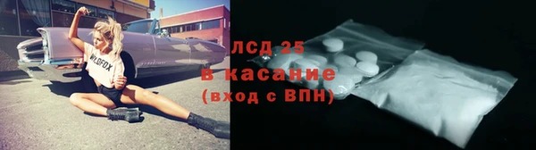 стаф Вяземский