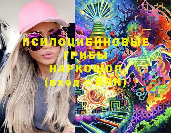 сатива Вязники