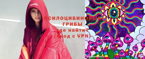 стаф Вяземский