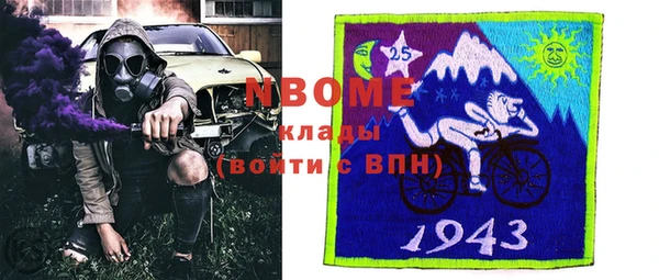 стаф Вяземский
