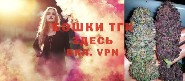 сатива Вязники