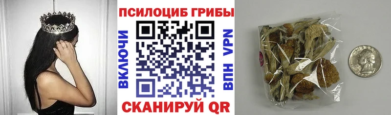 Псилоцибиновые грибы MAGIC MUSHROOMS  блэк спрут рабочий сайт  Донецк 